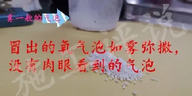 夏造对虾长不大？看看是不是这四大方面的原因！
