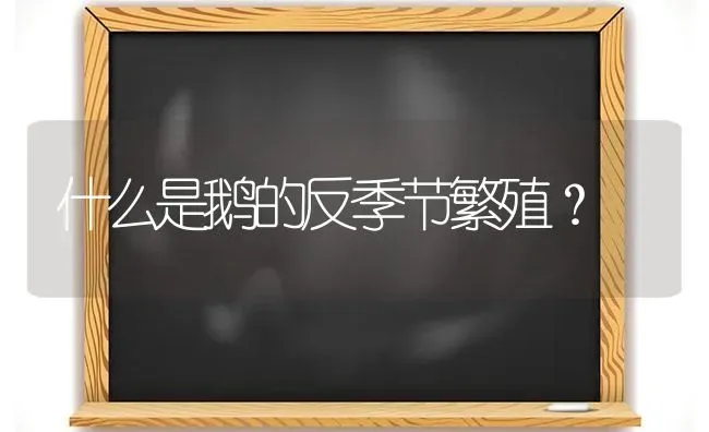 什么是鹅的反季节繁殖？ | 家禽养殖