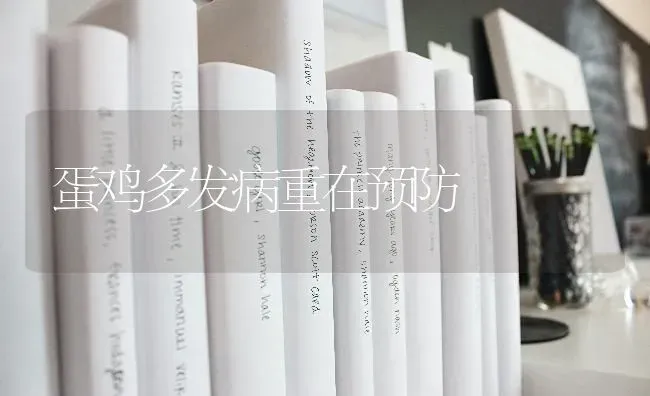 蛋鸡多发病重在预防 | 家禽养殖