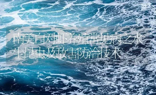 南美白对虾养殖常见病之水生昆虫及敌害防治技术 | 海水养殖