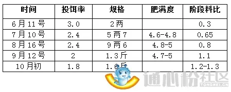 他如何做到罗非鱼养殖零死亡、亩产量高达三千斤！