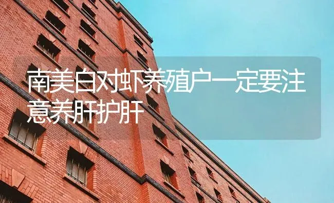 南美白对虾养殖户一定要注意养肝护肝 | 海水养殖
