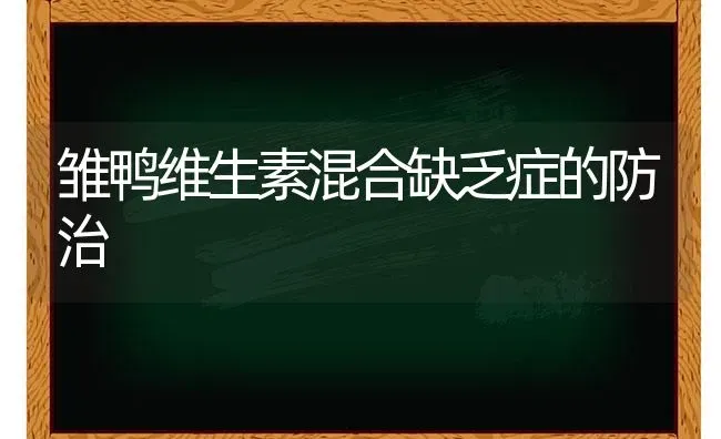 雏鸭维生素混合缺乏症的防治 | 家禽养殖