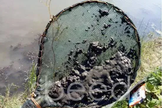 水产养殖户正确认识底改才能改好底