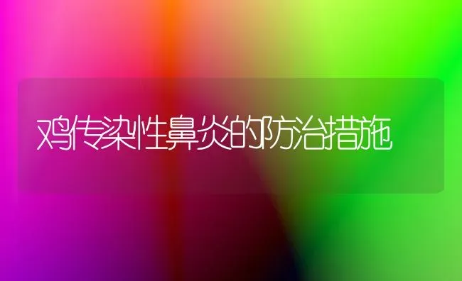 鸡传染性鼻炎的防治措施 | 家禽养殖