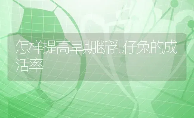 怎样提高早期断乳仔兔的成活率 | 家畜养殖