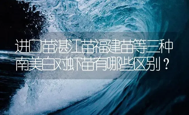 进口苗湛江苗福建苗等三种南美白对虾苗有哪些区别？ | 海水养殖