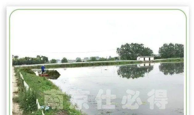 河蟹上市旺季，如果要避开高峰期，需要掌握这些暂养细节
