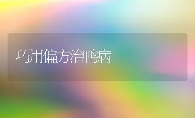 巧用偏方治鸭病 | 家禽养殖