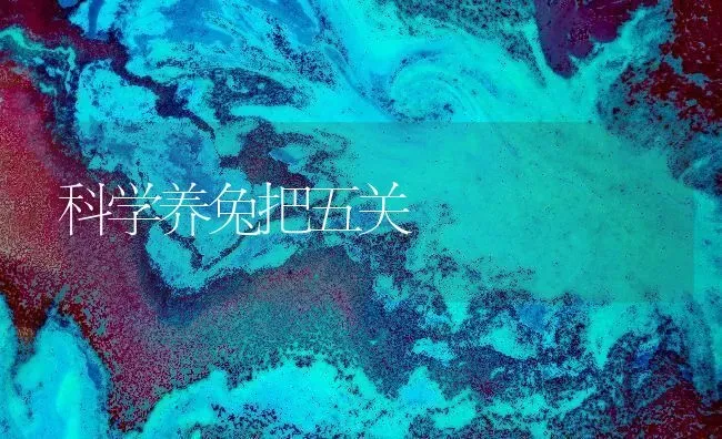 科学养兔把五关 | 家畜养殖