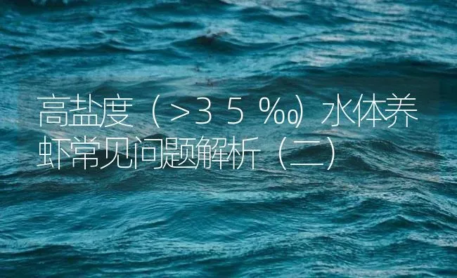 高盐度（＞35‰）水体养虾常见问题解析（二） | 海水养殖