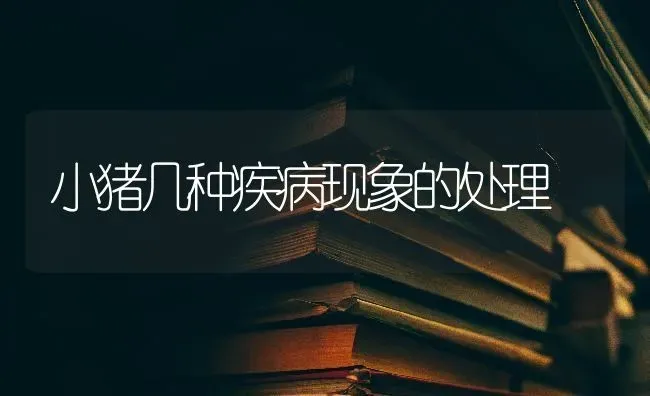 小猪几种疾病现象的处理 | 家畜养殖