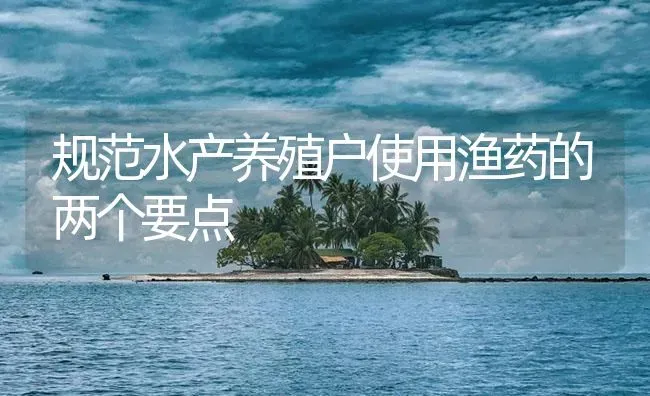规范水产养殖户使用渔药的两个要点 | 养殖病虫害防治