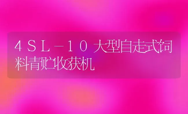 4SL-10大型自走式饲料青贮收获机 | 动物养殖饲料