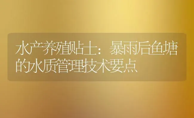 水产养殖贴士：暴雨后鱼塘的水质管理技术要点 | 动物养殖百科