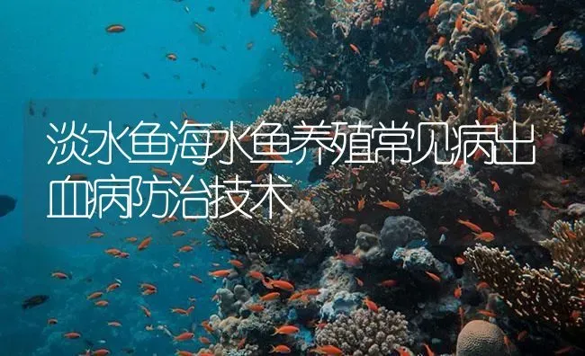 淡水鱼海水鱼养殖常见病出血病防治技术 | 养殖病虫害防治