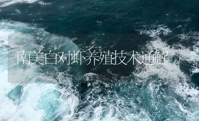 南美白对虾养殖技术通解 | 海水养殖