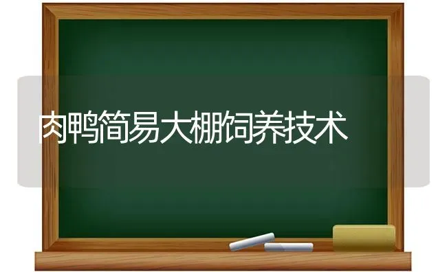 肉鸭简易大棚饲养技术 | 家禽养殖