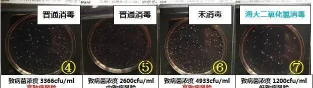 青鱼、鳊鱼鱼病高峰即将来临，请做好准备
