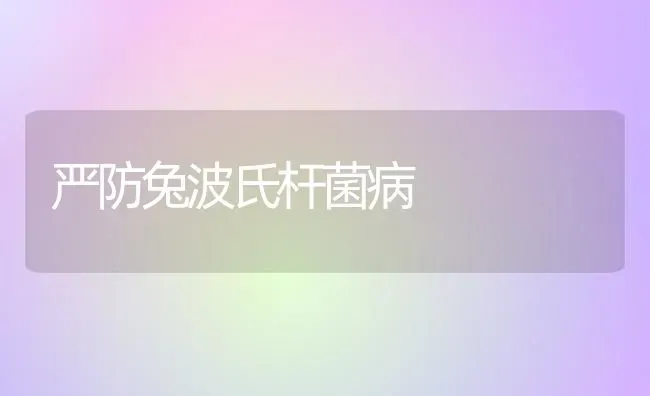 严防兔波氏杆菌病 | 家畜养殖