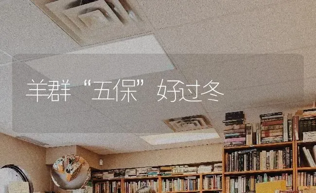 羊群“五保”好过冬 | 家畜养殖