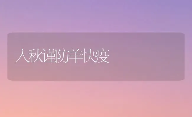 入秋谨防羊快疫 | 家畜养殖