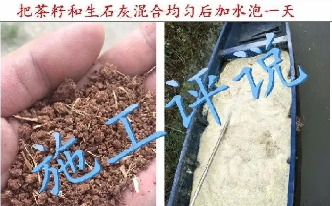 夏造对虾长不大？看看是不是这四大方面的原因！