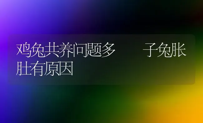 鸡兔共养问题多  子兔胀肚有原因 | 家禽养殖