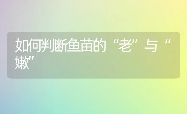 如何判断鱼苗的“老”与“嫩” | 淡水养殖