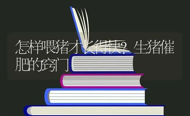 怎样喂猪才长得快？生猪催肥的窍门 | 家畜养殖