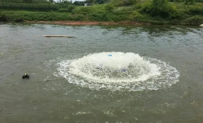 鱼池增氧机种类与正确选用