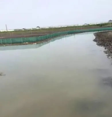 河蟹黑鳃、池塘水浑的处理方案