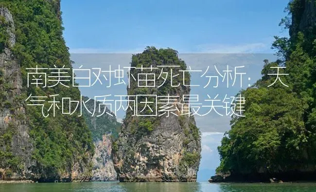 南美白对虾苗死亡分析：天气和水质两因素最关键 | 海水养殖
