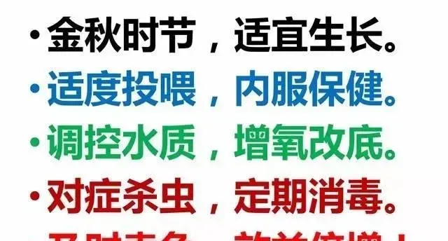 金秋9-10月草鱼黄金生长期，需要注意些什么？