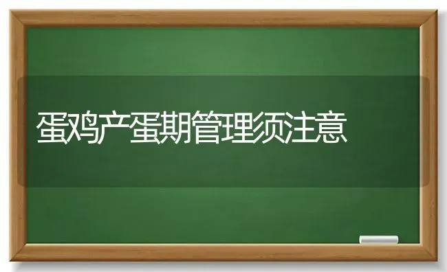 蛋鸡产蛋期管理须注意 | 家禽养殖