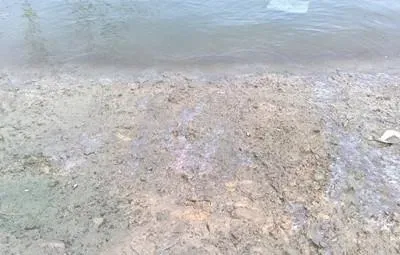 【粤海出品】水产养殖池塘铁锈水处理实战经验分享
