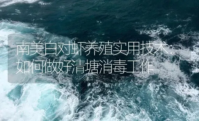 南美白对虾养殖实用技术：如何做好清塘消毒工作 | 海水养殖
