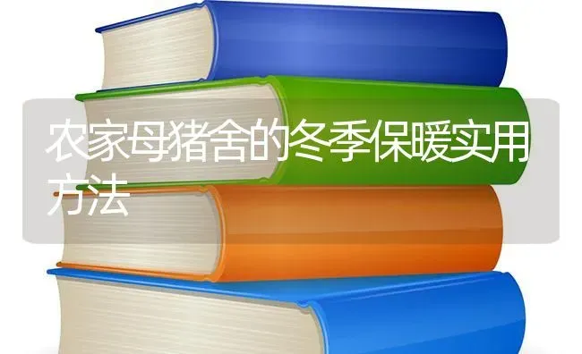 农家母猪舍的冬季保暖实用方法 | 家畜养殖