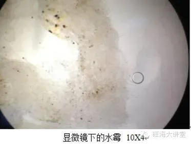 寒潮来袭，低温期水产养殖管理方案关键点梳理
