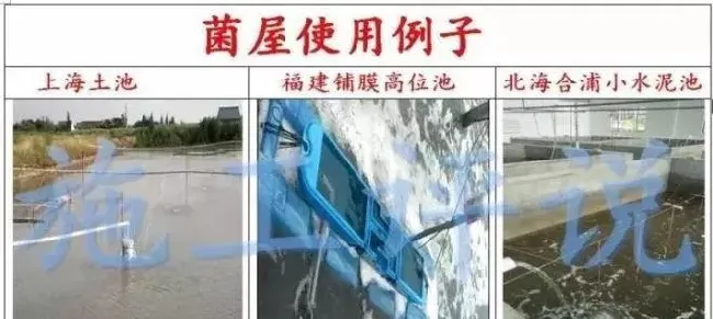 环境在不断变化，水产养殖方法也要随之而创新