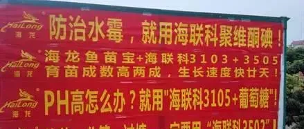 影响海鲈鱼养殖户标苗成数的几个问题和处理思路