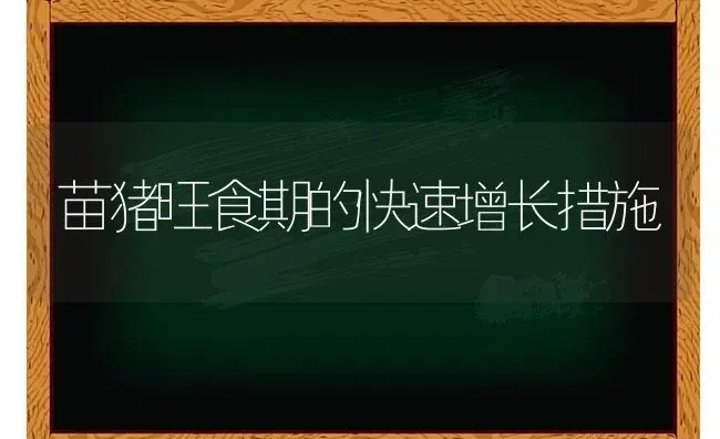 苗猪旺食期的快速增长措施 | 家畜养殖