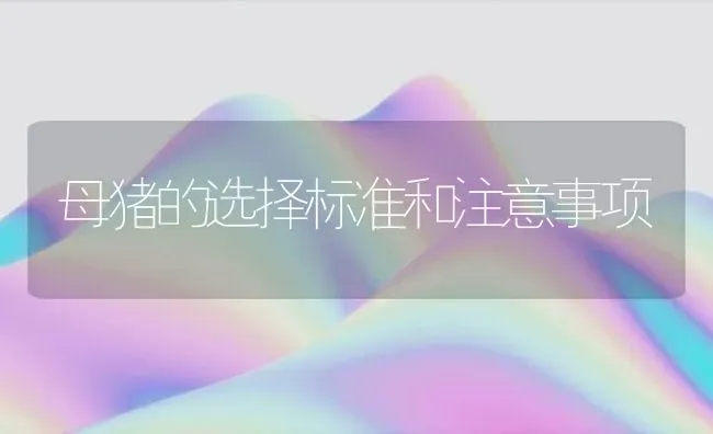 母猪的选择标准和注意事项 | 家畜养殖