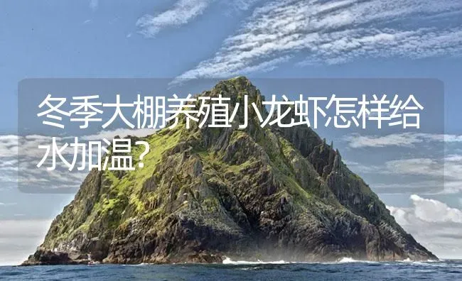 冬季大棚养殖小龙虾怎样给水加温？ | 海水养殖