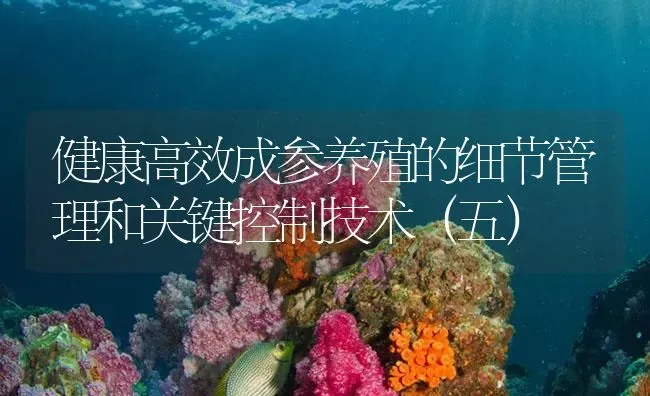 健康高效成参养殖的细节管理和关键控制技术（五） | 海水养殖