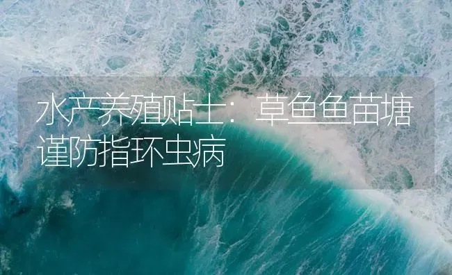 水产养殖贴士：草鱼鱼苗塘谨防指环虫病 | 淡水养殖