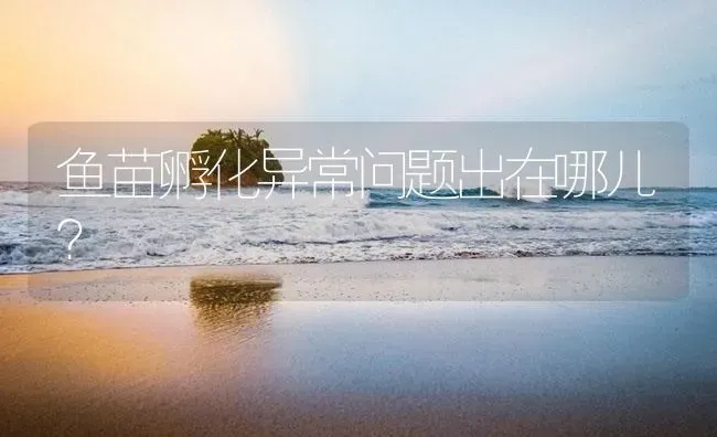 鱼苗孵化异常问题出在哪儿？ | 淡水养殖