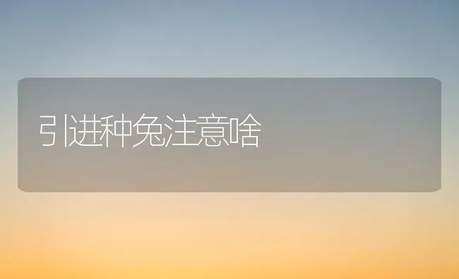 引进种兔注意啥 | 家畜养殖