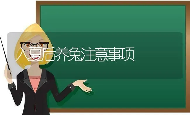 入夏后养兔注意事项 | 家畜养殖