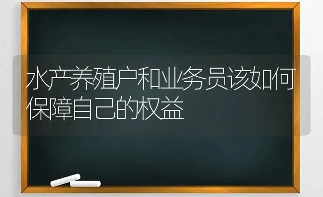 水产养殖户和业务员该如何保障自己的权益 | 动物养殖百科